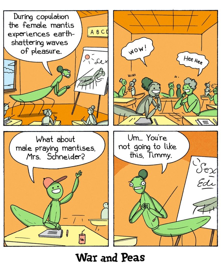 4-panel-comic by War and Peas

Panel 1: In a classroom full of young mantis students, a female mantis teacher stands in front of a chart showing a pair of mating mantises. She says, “During copulation the female mantis experiences earth-shattering waves of pleasure.”

Panel 2: The mantis students react with excitement. One says “WOW!” and another giggles “Hee Hee.”

Panel 3: A male student mantis named Timmy raises his hand and asks, “What about male praying mantises, Mrs. Schneider?”

Panel 4: The teacher, looking a bit awkward, replies, “Um... You’re not going to like this, Timmy.” 