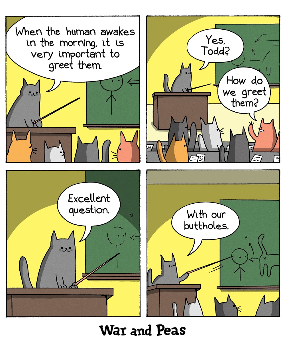 4-panel comic by War and Peas. Panel 1: A grey cat teacher stands at a desk with a pointer, lecturing a class of cats. "When the human awakes in the morning, it is very important to greet them." Panel 2: A student raises a paw. "Yes, Todd?" Todd asks, "How do we greet them?" Panel 3: The teacher nods approvingly. "Excellent question." Panel 4: The teacher points to a chalkboard diagram showing a cat presenting its backside to a stick-figure human. "With our buttholes."