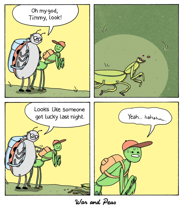 Funny 4-panel-comic: 1. Panel: A ladbuy and a praying mantis stand next to each other. They're kids and both wear backpacks. The ladybug says: "Oh, Timmy, look!" 2. Panel: You can see a dead praying mantis with its head eaten off. 3. Panel: The ladybug says: "Looks like someone got lucky last night!" 4. Timmy is sweating and says: "Yeah, haha"