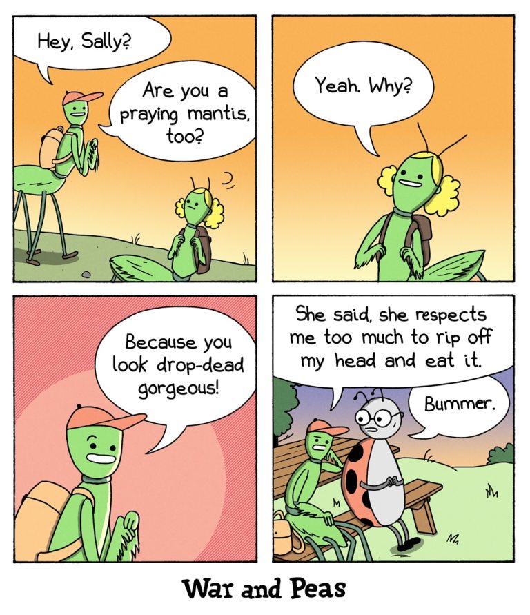Panel 1: Two praying mantises are walking on a grassy field. One mantis named Timmy, wearing a backward cap and carrying a backpack, says, "Hey, Sally? Are you a praying mantis, too?"
Panel 2: The second mantis, identified as Sally, with flower-like hair and also carrying a backpack, responds, "Yeah. Why?" The background shows a warm, orange sky.
Panel 3: Timmy, looking at Sally with a wide smile, says, "Because you look drop-dead gorgeous!" The background has a red circular pattern.
Panel 4: The scene shifts to a park bench where the first mantis is sitting next to a ladybug with glasses. The mantis, looking downcast, says, "She said, she respects me too much to rip off my head and eat it." The ladybug replies with a simple, "Bummer."