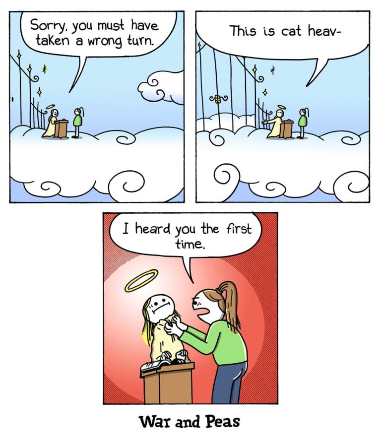 Panel 1: An angel stands at the gates of heaven, speaking to a woman who has just arrived. The angel says, "Sorry, you must have taken a wrong turn." The background shows fluffy clouds and golden gates. Panel 2: The angel continues to speak, "This is cat heav—" Panel 3: The woman grabs the angel by the collar and shakes them. "I heard you the first time."