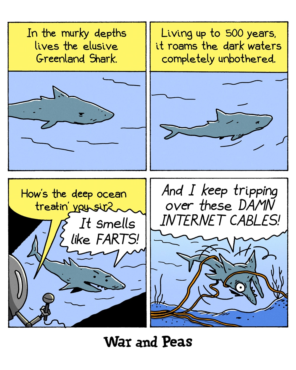 4-panel comic by War and Peas
Panel 1: A grey Greenland shark swims in murky blue water. Yellow caption reads, "In the murky depths lives the elusive Greenland Shark."
Panel 2: The same shark glides through dark water. Yellow caption reads, "Living up to 500 years, it roams the dark waters completely unbothered."
Panel 3: A submarine appears with a small microphone extended toward the shark and asks, "How's the deep ocean treatin' you sir?" The shark replies, "It smells like FARTS!"
Panel 4: The shark crashes face-first into the ocean floor, tangled in orange internet cables. It shouts, "And I keep tripping over these DAMN INTERNET CABLES!"